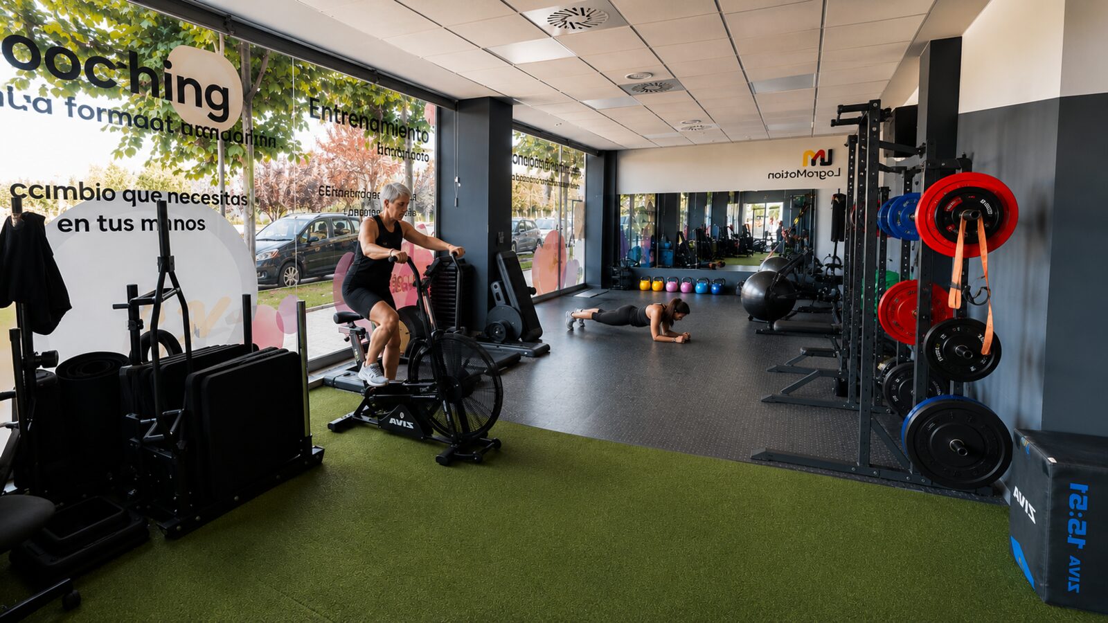 Entrenamiento senior en Logromotion